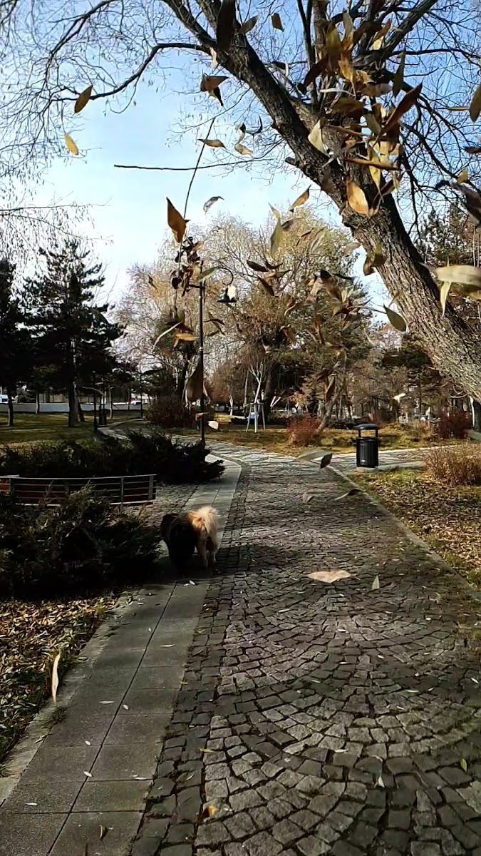 100. Yıl Parkı — fotoğraf 2