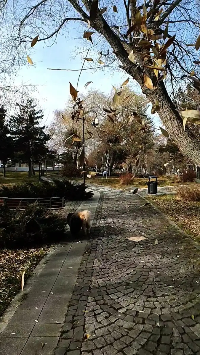100. Yıl Parkı — photo 3
