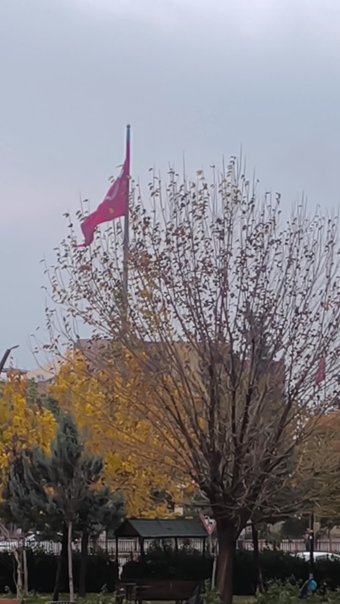15 Temmuz Parkı — fotoğraf 3