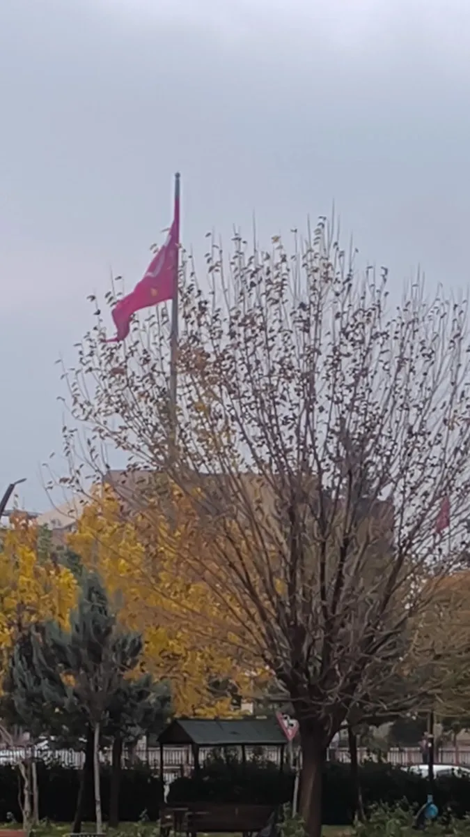 15 Temmuz Parkı — photo 3