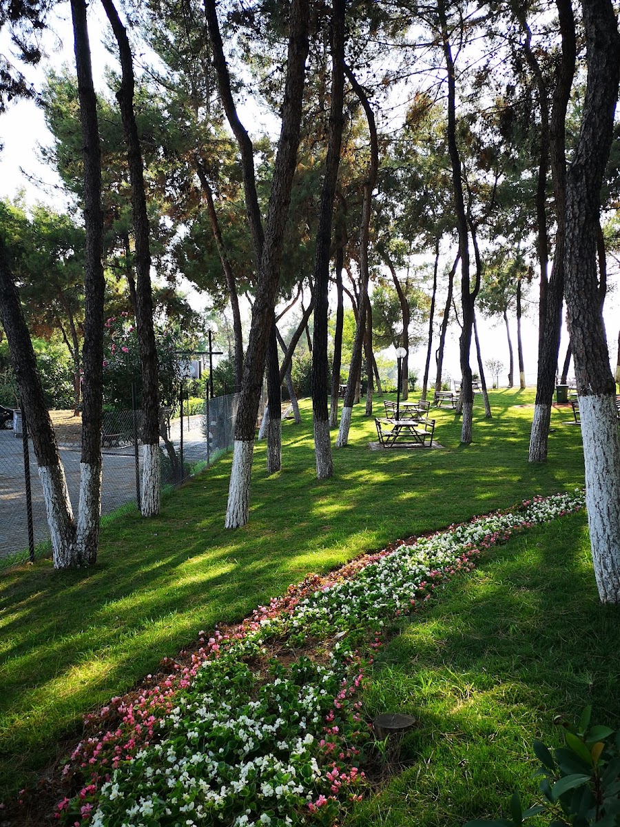 17 Nisan Köy Enstitüleri Ormanı — fotoğraf 2