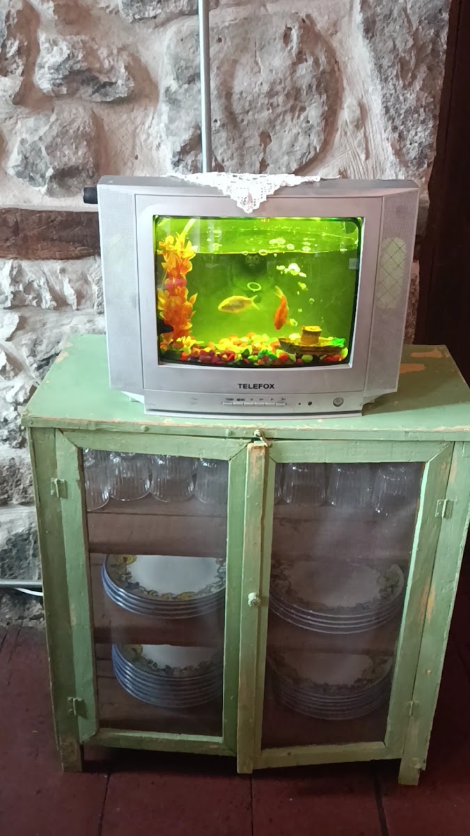 1855 Gazi Restaurant — fotoğraf 2