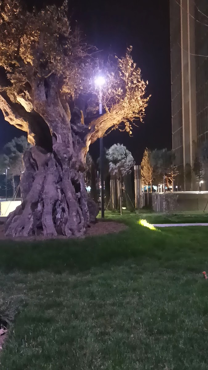 2020 Biznes Mərkəzi — fotoğraf 3