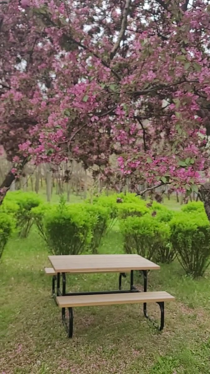 30 Ağustos Zafer Parkı — fotoğraf 2