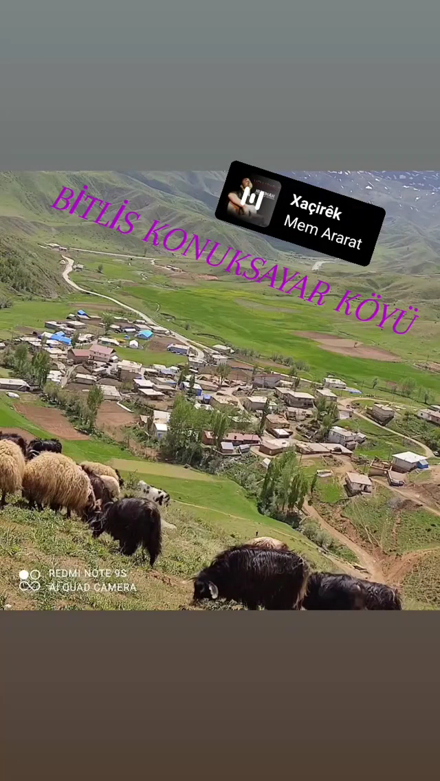 33 Mersin Yaprak Tantuni Toki — fotoğraf 2