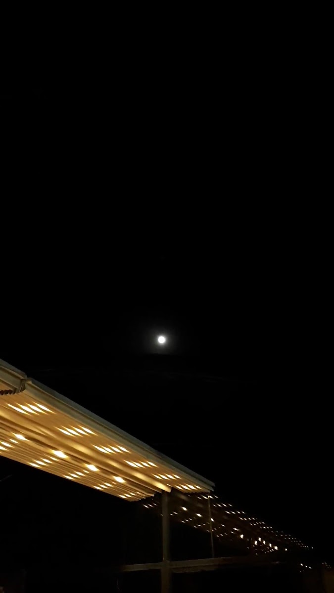 416 Cafe&Bistro — fotoğraf 3