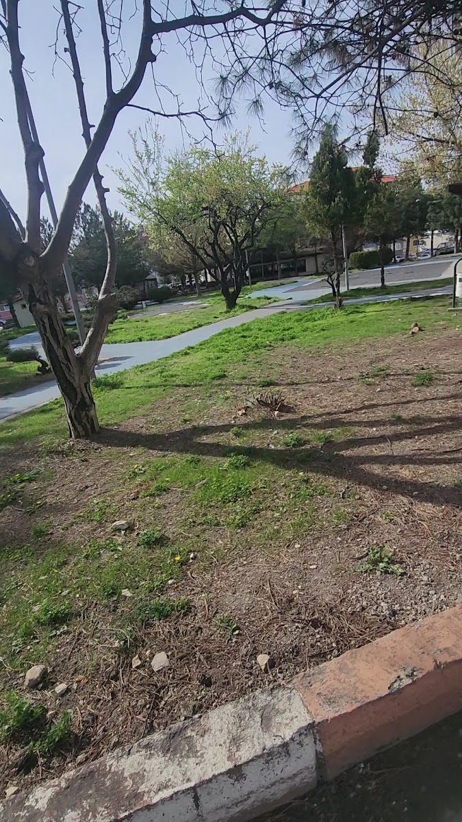 5000 Evler Ormancılar Parkı — fotoğraf 3