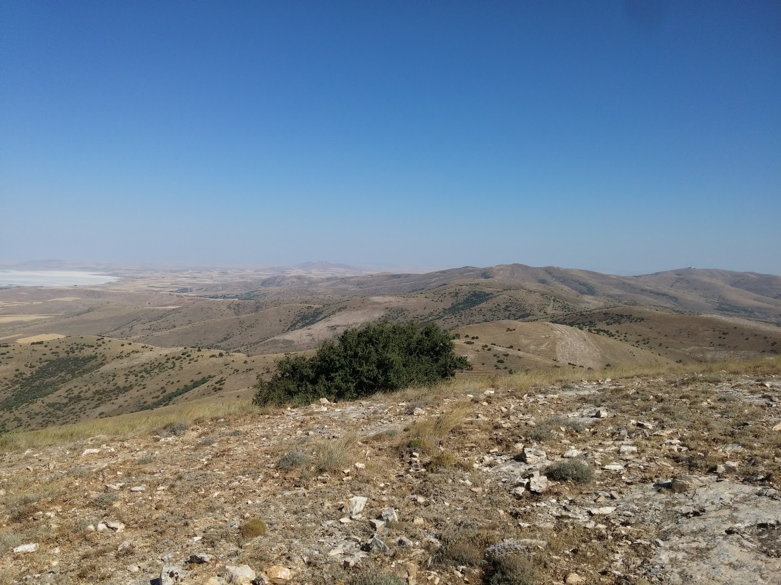 77. Yıl Maliye Ormanı — photo 3