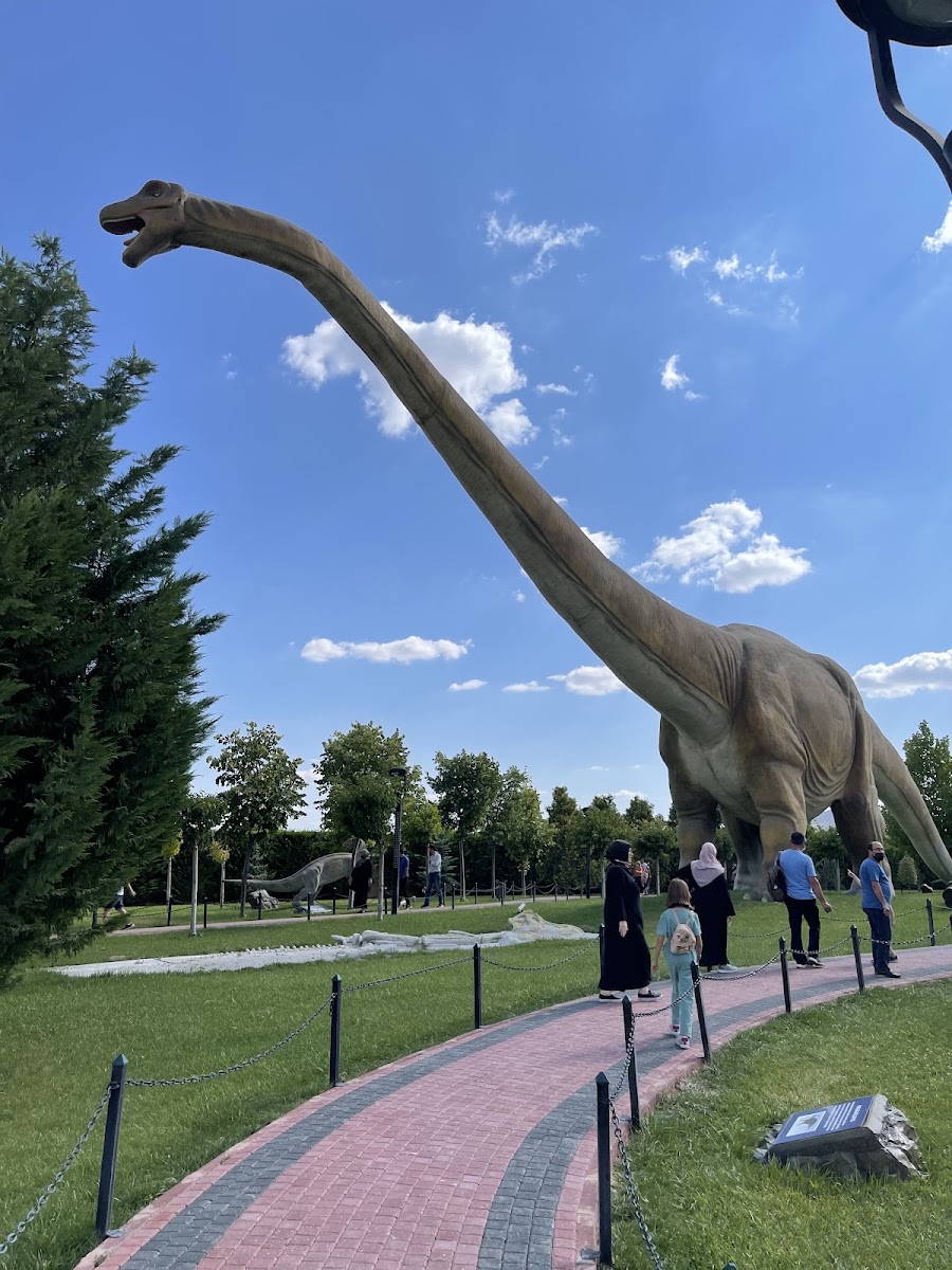 80 Binde Devr-i Alem Parkı - Meram Belediyesi — fotoğraf 4