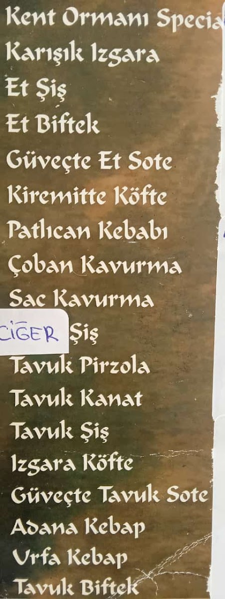 Abana Seyir Teras & Restoran & Kafe & Piknik & Mangal & Düğün Salonu & Kamp & Çadır Yeri — fotoğraf 2