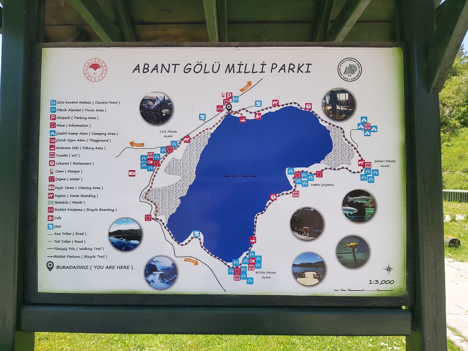 Abant Gölü Milli Parkı — fotoğraf 4