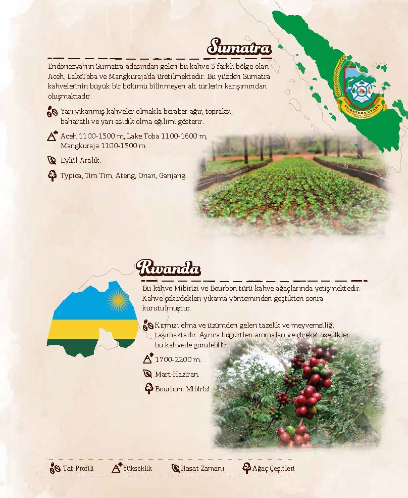 Abant Kahvecisi — fotoğraf 2