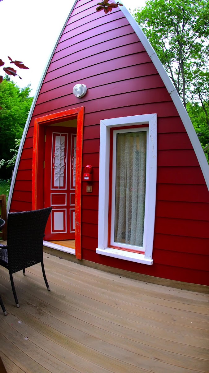 Abant Korudam bungalov — fotoğraf 4