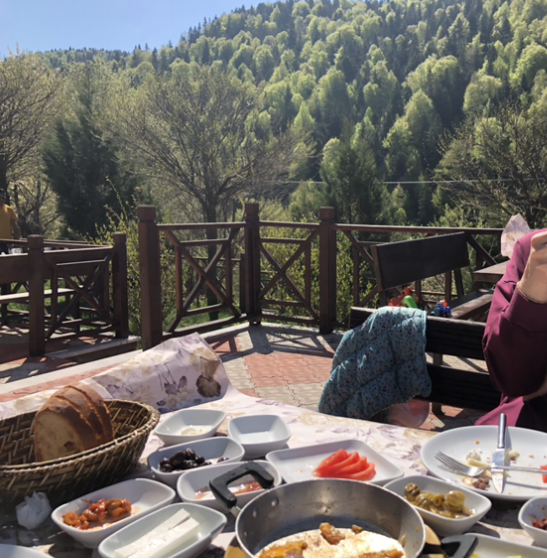 Abant Manzara Evleri — fotoğraf 5