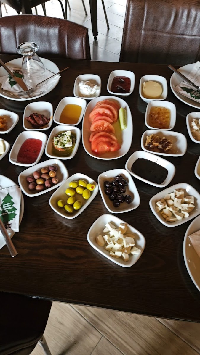 Abant Şömine Et Mangal Kahvaltı Evi — fotoğraf 3