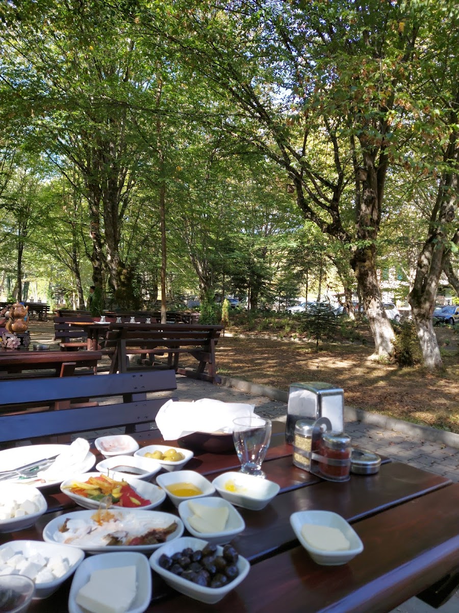 Abant Şömine Et Mangal Kahvaltı Evi — fotoğraf 5