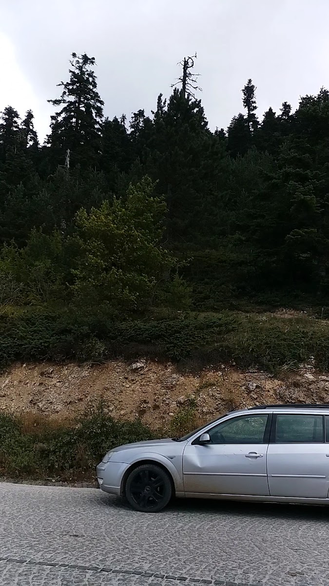 Abant tabiat parkı gişesi — fotoğraf 2