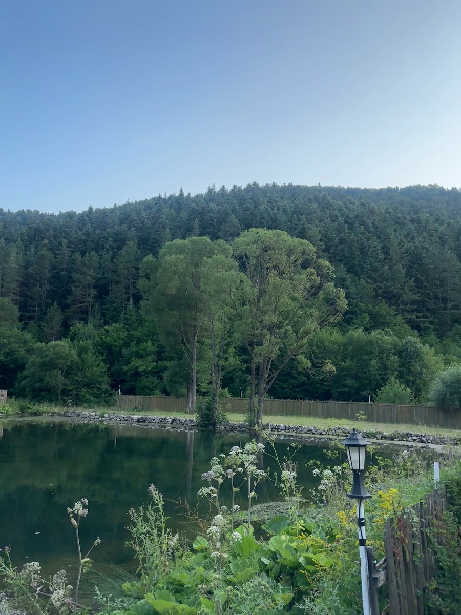 Abant Vadi Bungalov Ve Dağ Evleri — fotoğraf 3