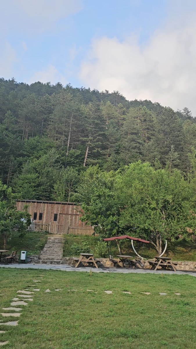 Abant Vadi Bungalov Ve Dağ Evleri — fotoğraf 4