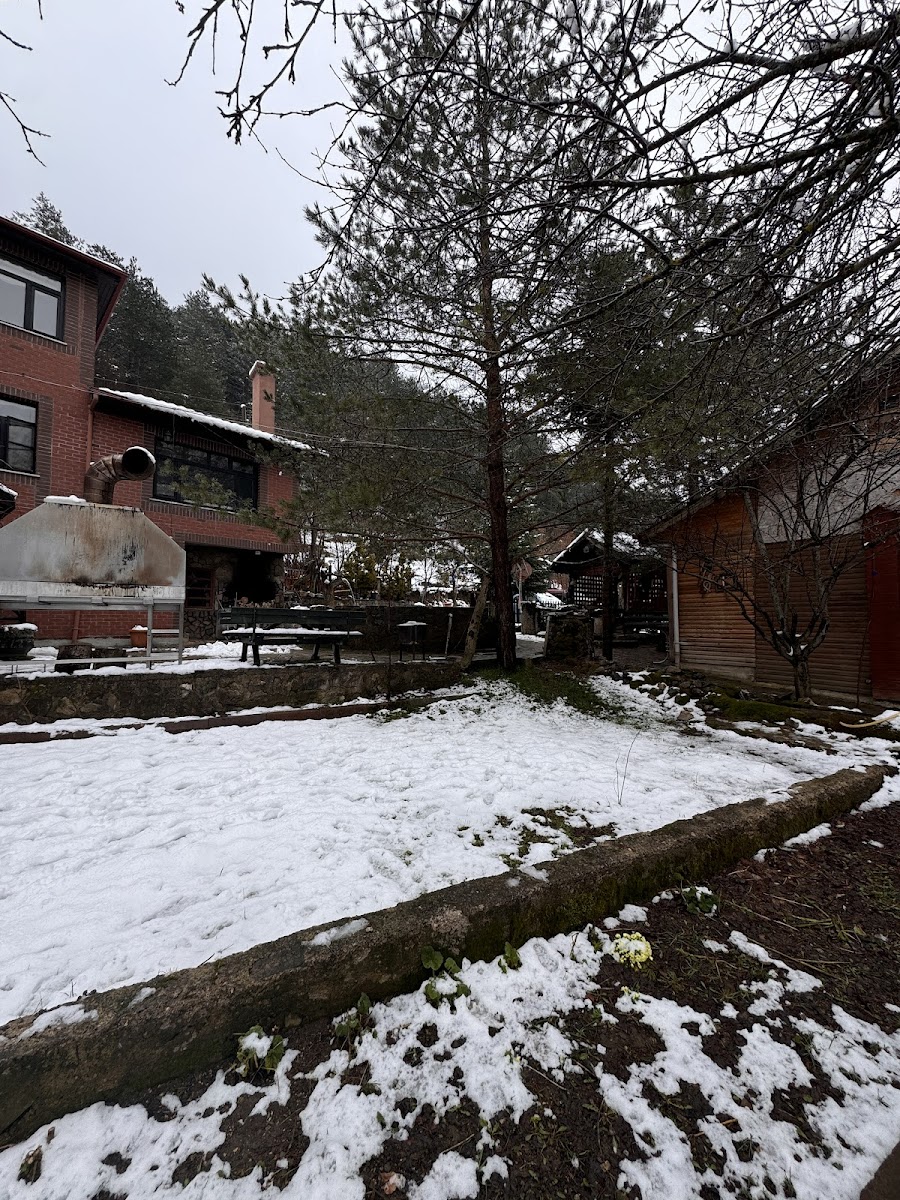 Abant Yeşil Vadi Koç Pansiyon — fotoğraf 2