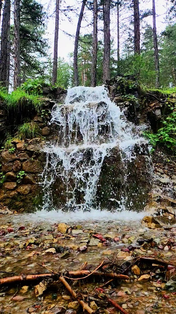 Abdullah Yaylası Tabiat Parkı — fotoğraf 2