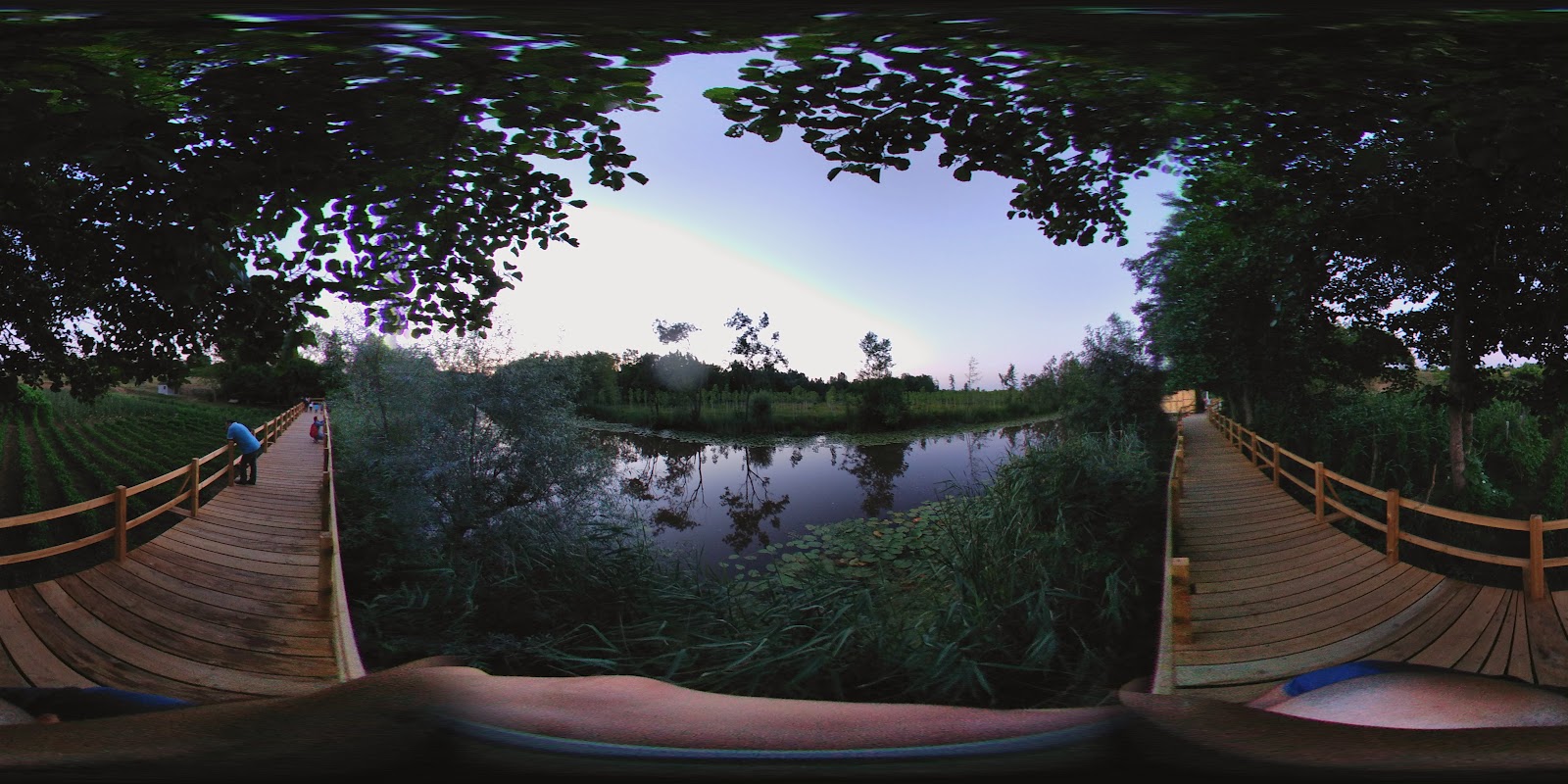 Acarlar Longozu — fotoğraf 4