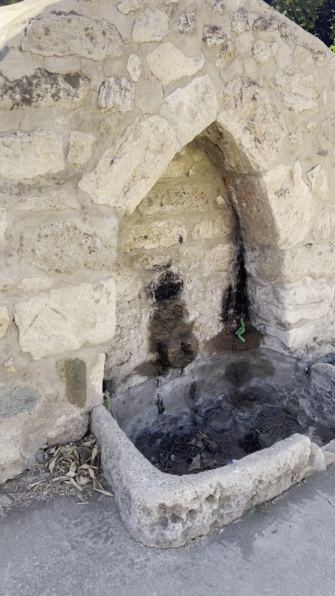 Acendu Çeşmesi — photo 2