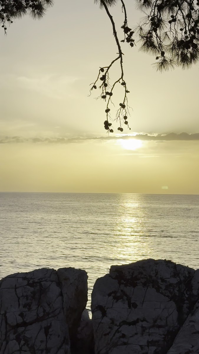 Actas Beach — photo 3