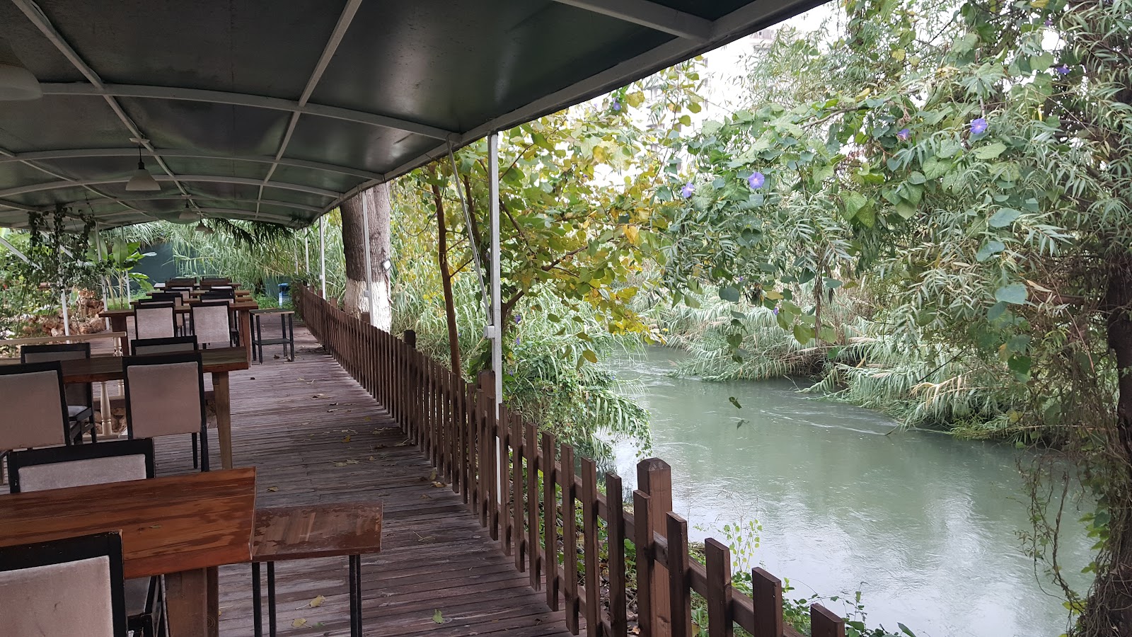 ADA RESTAURANT — photo