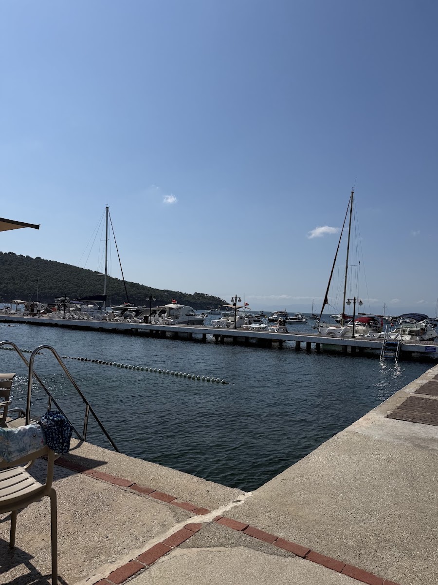 Adalar Su Sporları Kulübü — photo 2