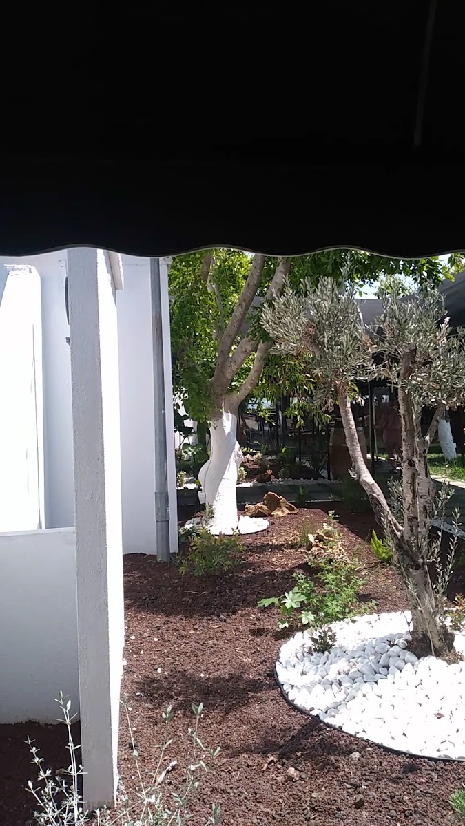 Adana Barosu Tesisleri — photo 3