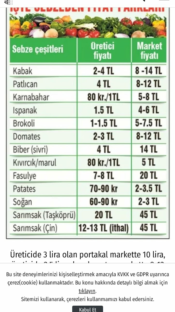 ADANALI FATİH USTA — fotoğraf 2