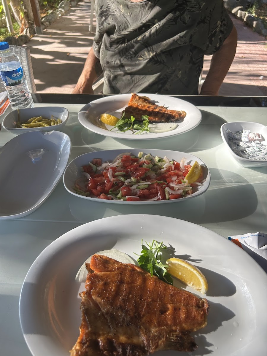 Adapark Et & Balık Restorant Erbaa — fotoğraf 4