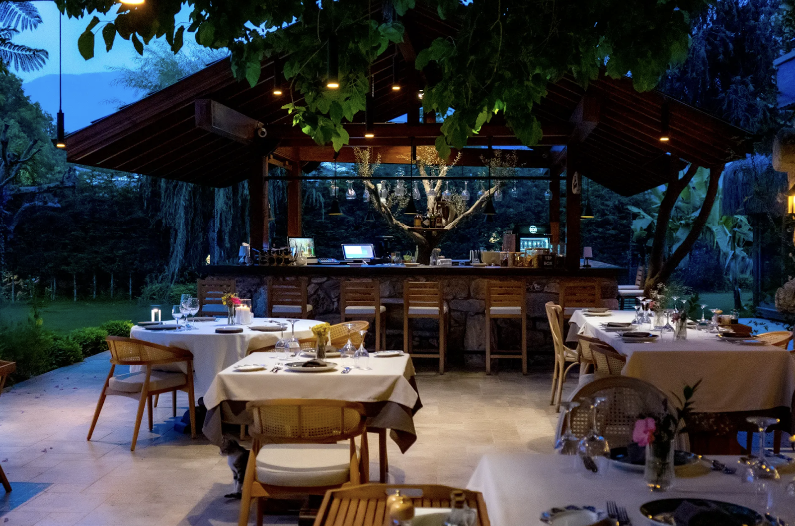 adoli restaurant — photo