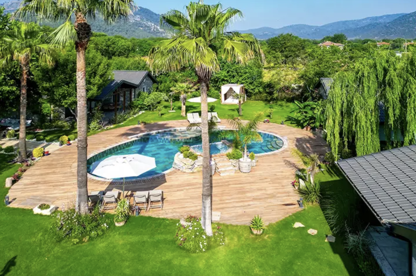 adoli restaurant — photo 4