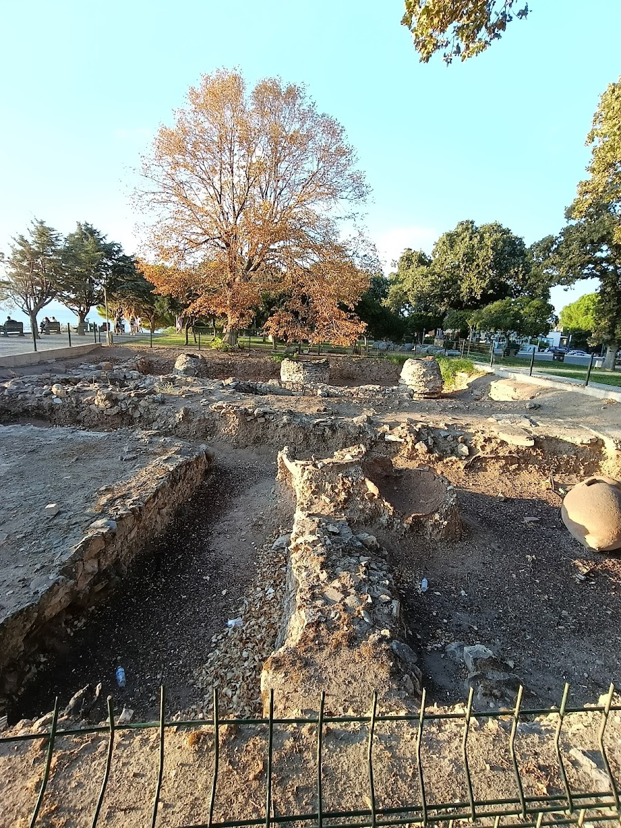 Adramytteion Antik Kenti — fotoğraf 1