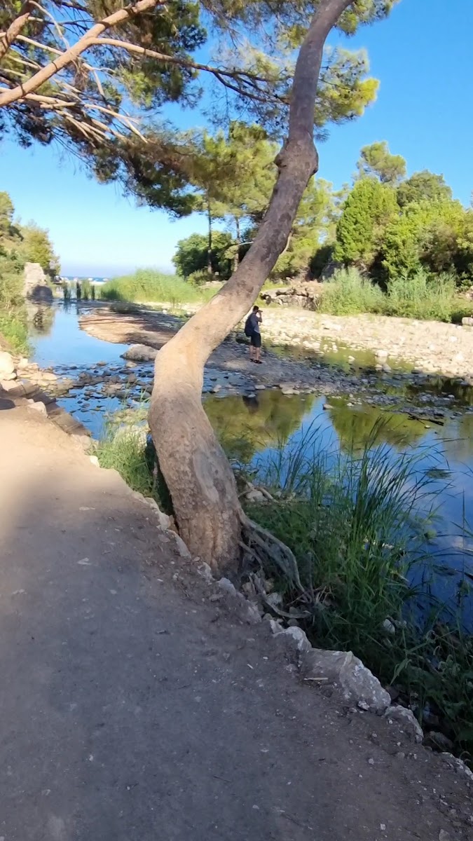 Adrasan — photo 3