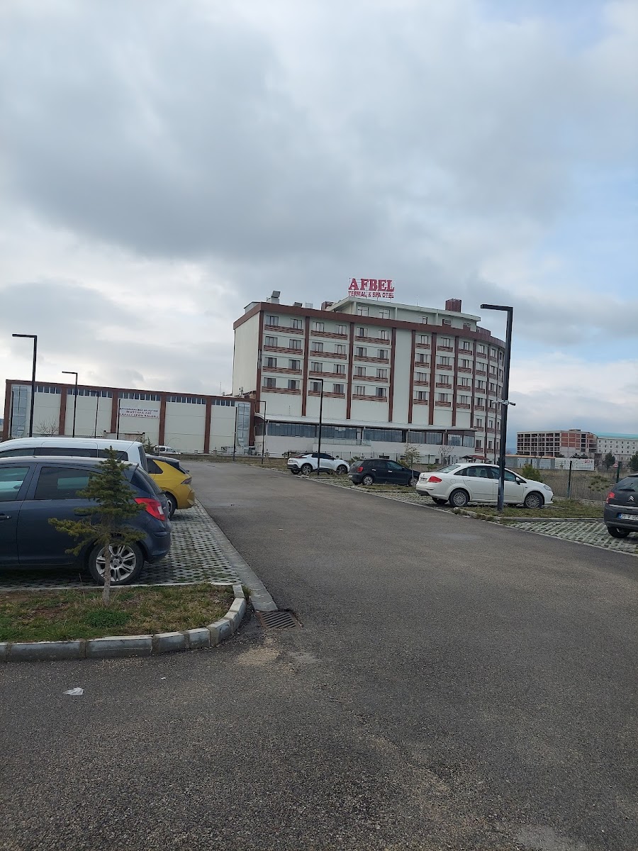 Afyon Afbel Thermal & SPA Hotel — fotoğraf 2