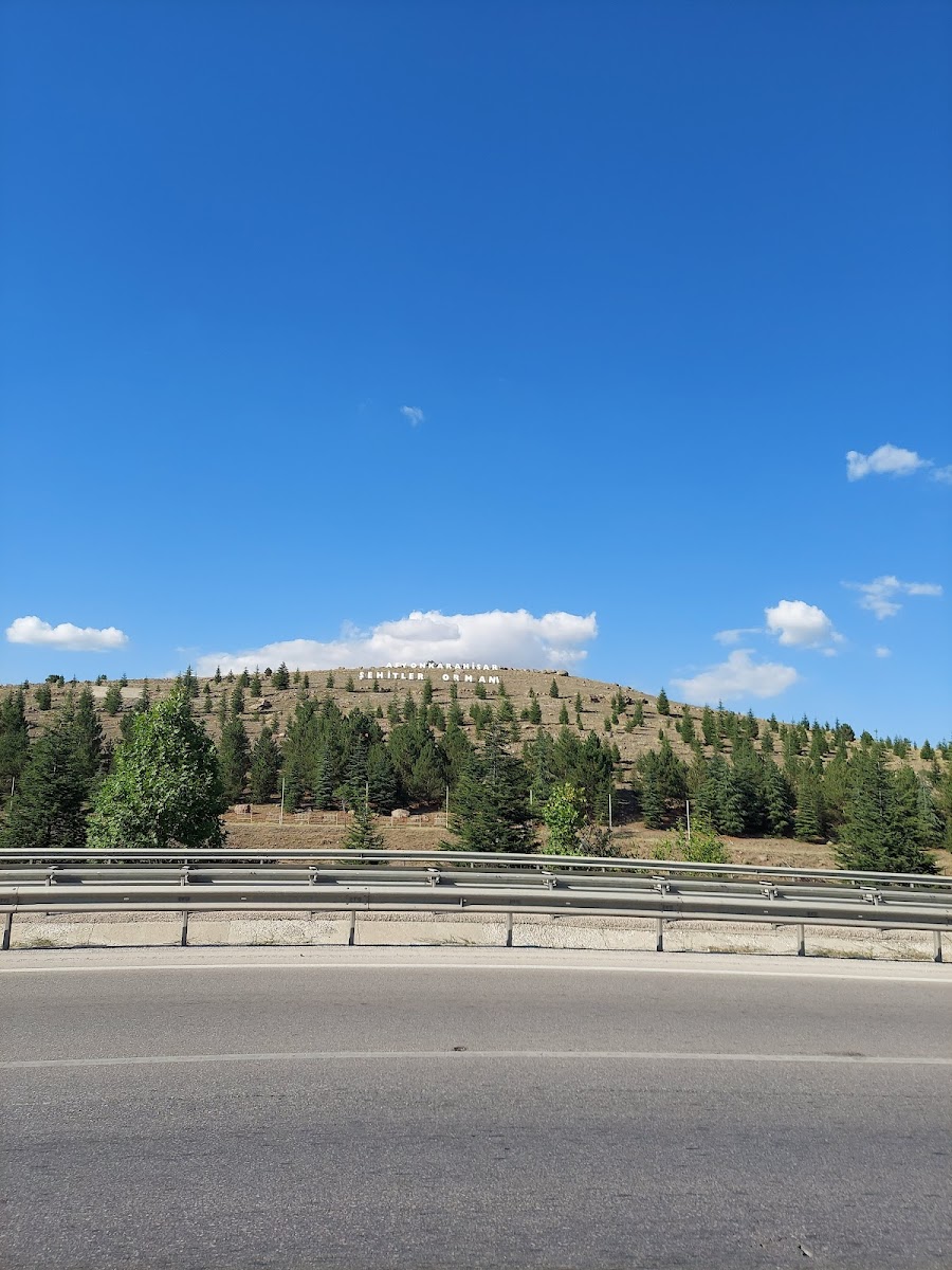 Afyon Şehitler Ormanı — fotoğraf