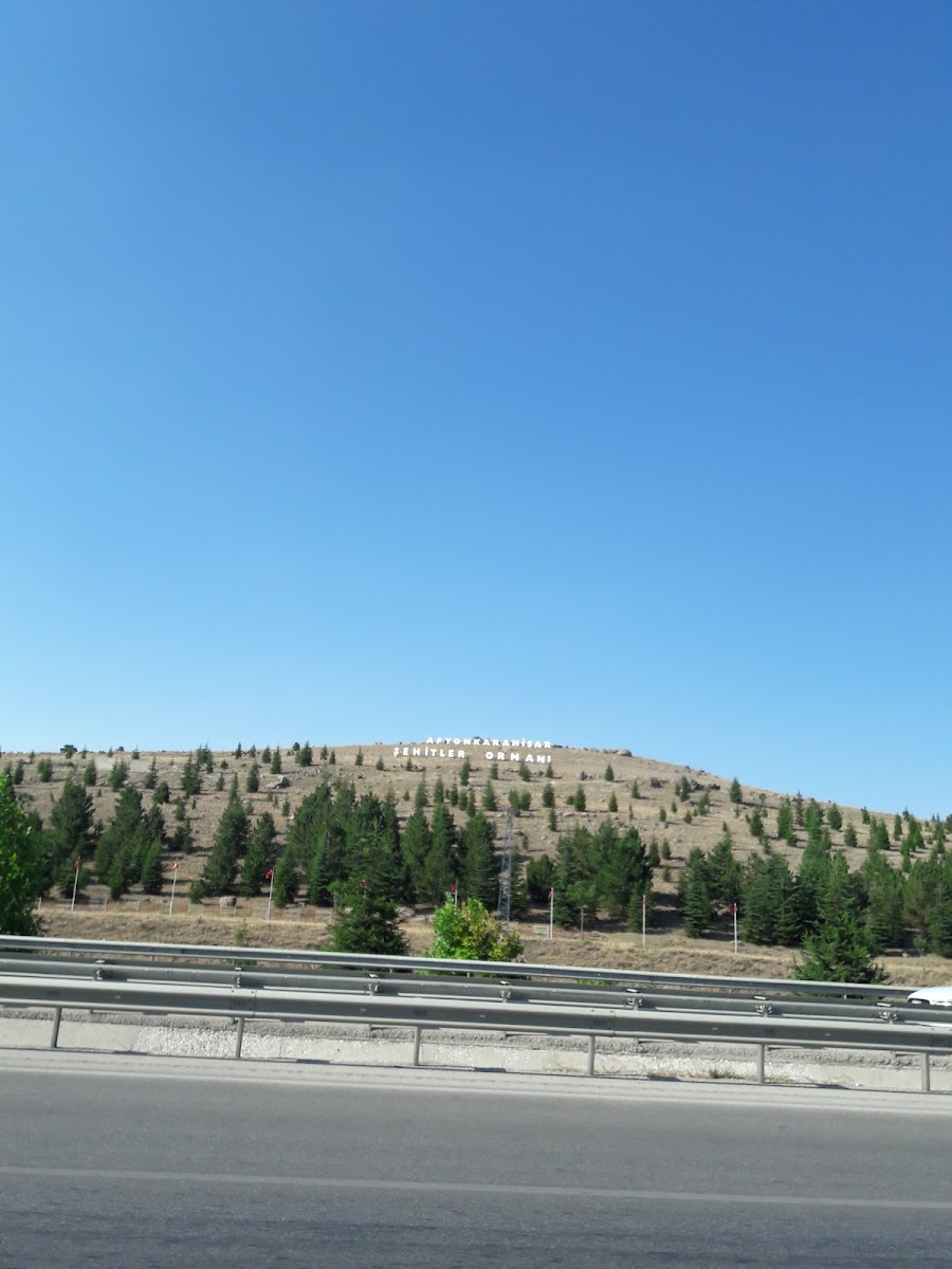 Afyon Şehitler Ormanı — fotoğraf 2
