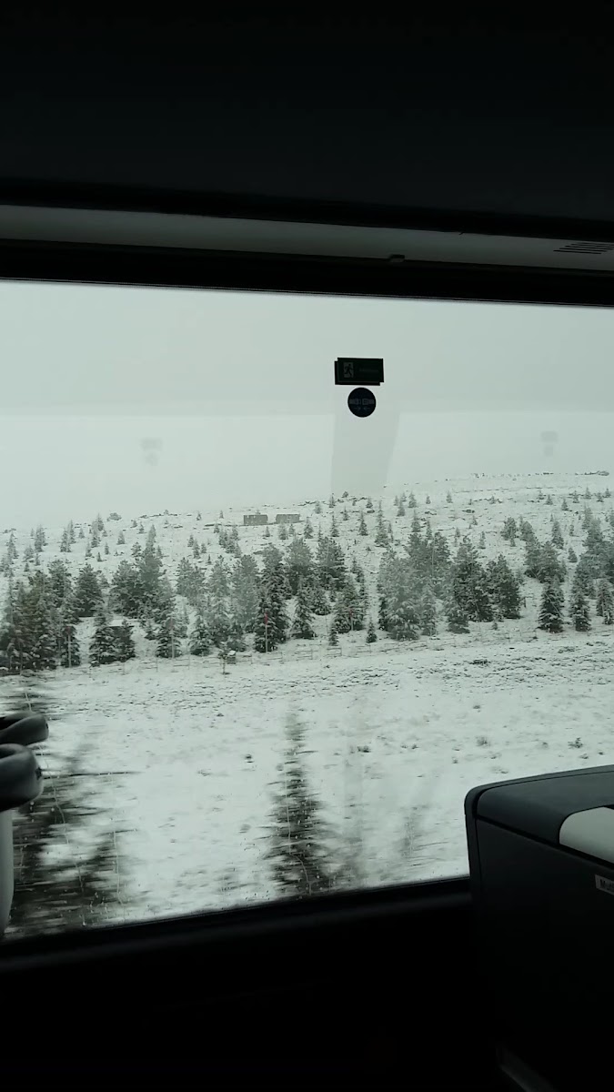 Afyon Şehitler Ormanı — fotoğraf 3