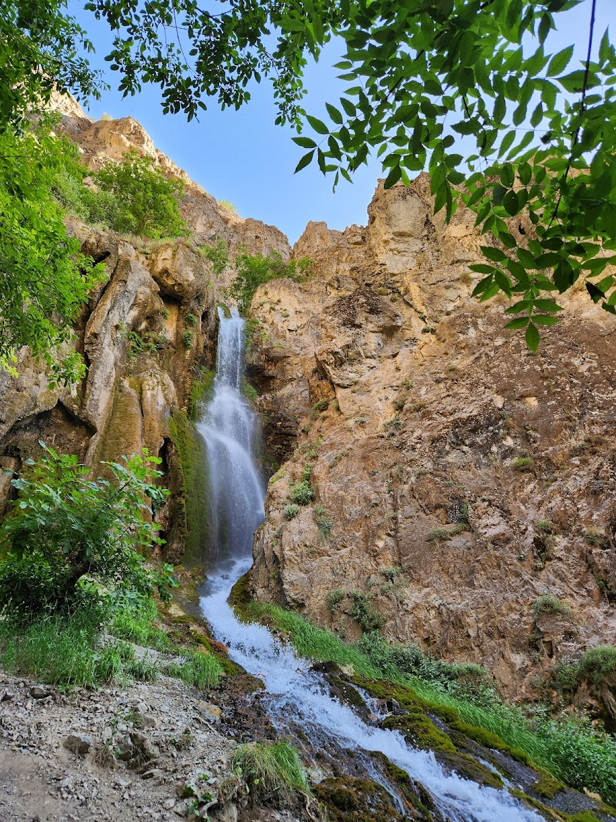 Ağaçdibi Şelalesi — fotoğraf