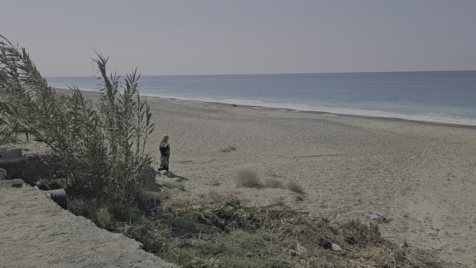 Ağaçlı Dinlenme Tesisi — photo 3
