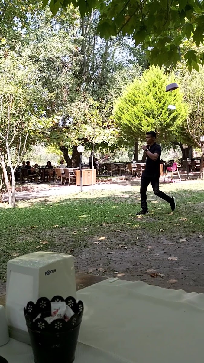 Ağaçlı Restaurant — fotoğraf 3