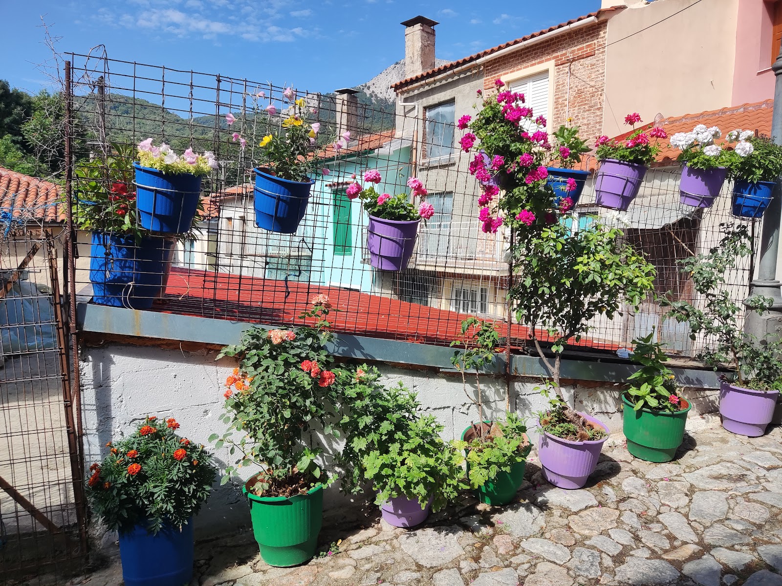 Agiasos — photo 2