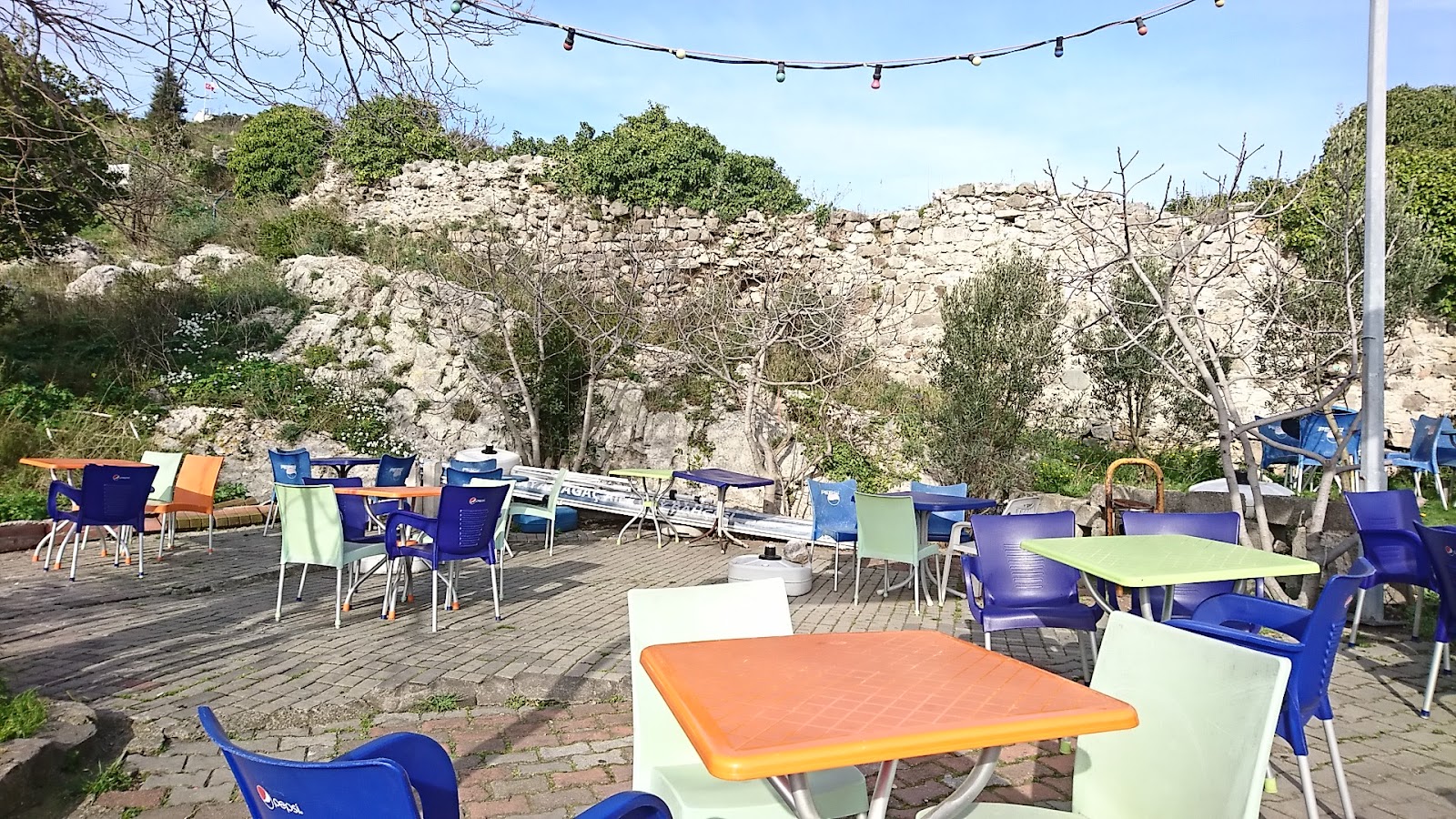 Ağlayan Ağaç Cafe — fotoğraf