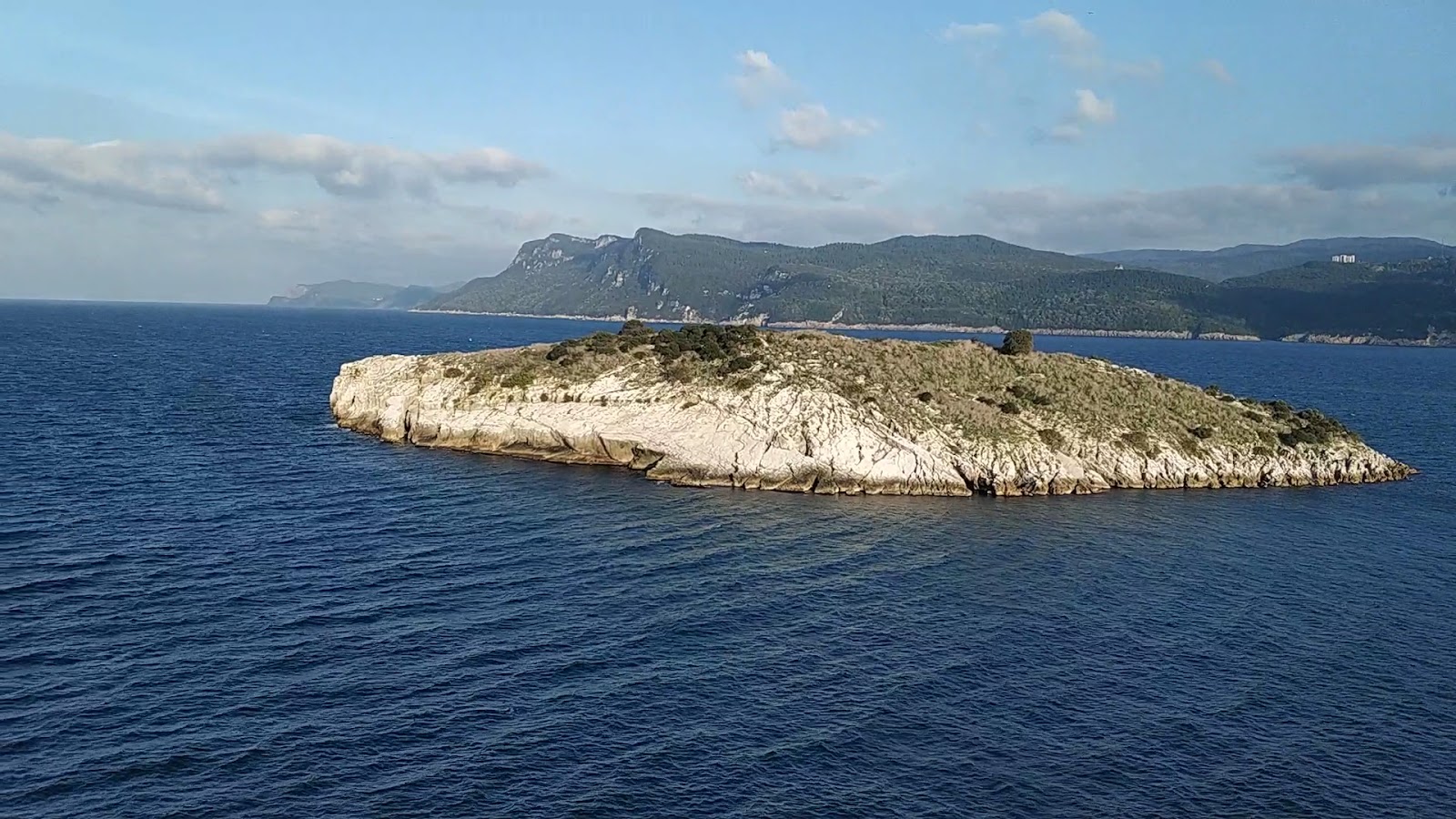 Ağlayan Ağaç — fotoğraf 3