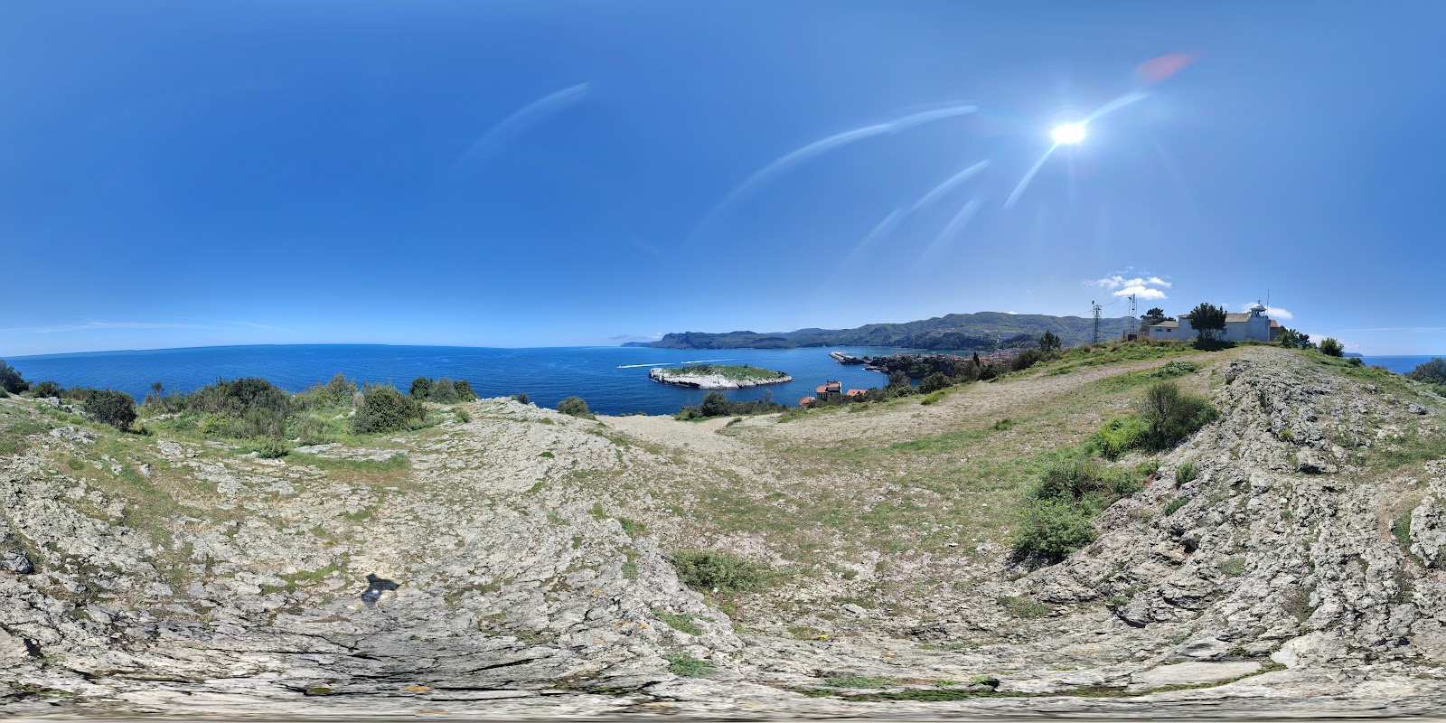 Ağlayan Ağaç — fotoğraf 4