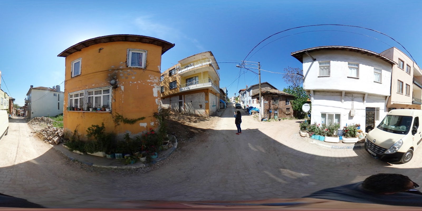 Ağlayan Çınar — fotoğraf 4