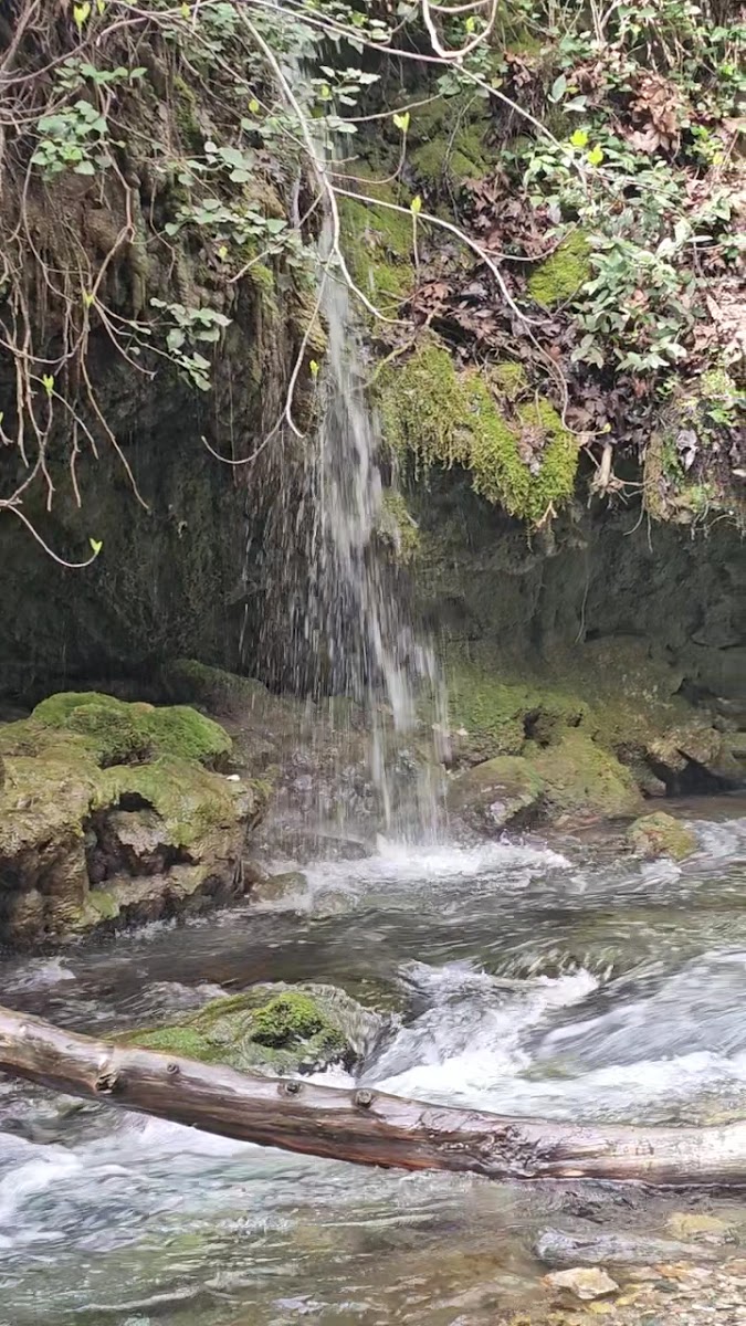 Ağlayan Şelale Kamping — fotoğraf 2